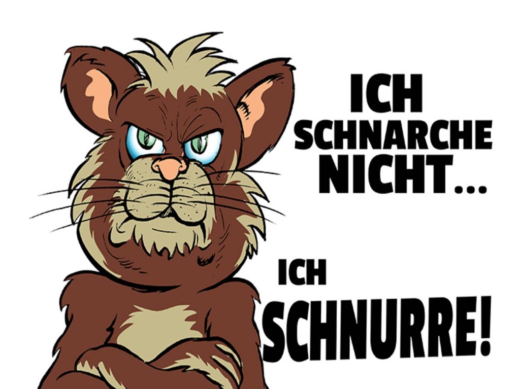 Holzschild 30x40 cm ich schnarche nicht ich schnurre