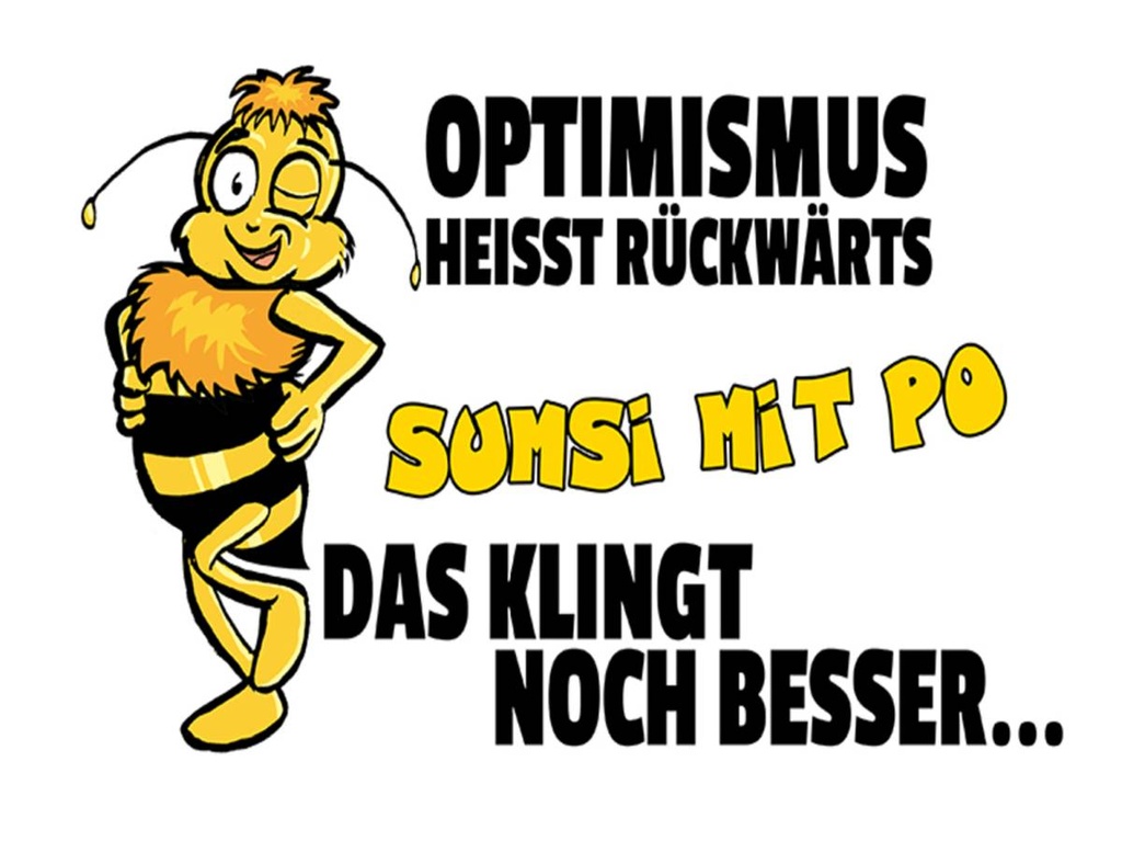 Holzschild 30x40 cm Optimismus rückwärts Sumsi mit Po