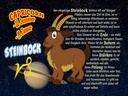 Holzschild 30x40 cm Sternzeichen Steinbock Planet Saturn
