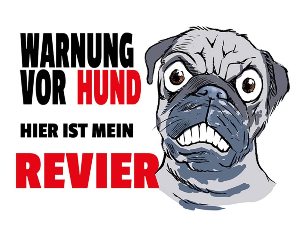 Holzschild 30x40 cm Warnung Hund hier mein Revier