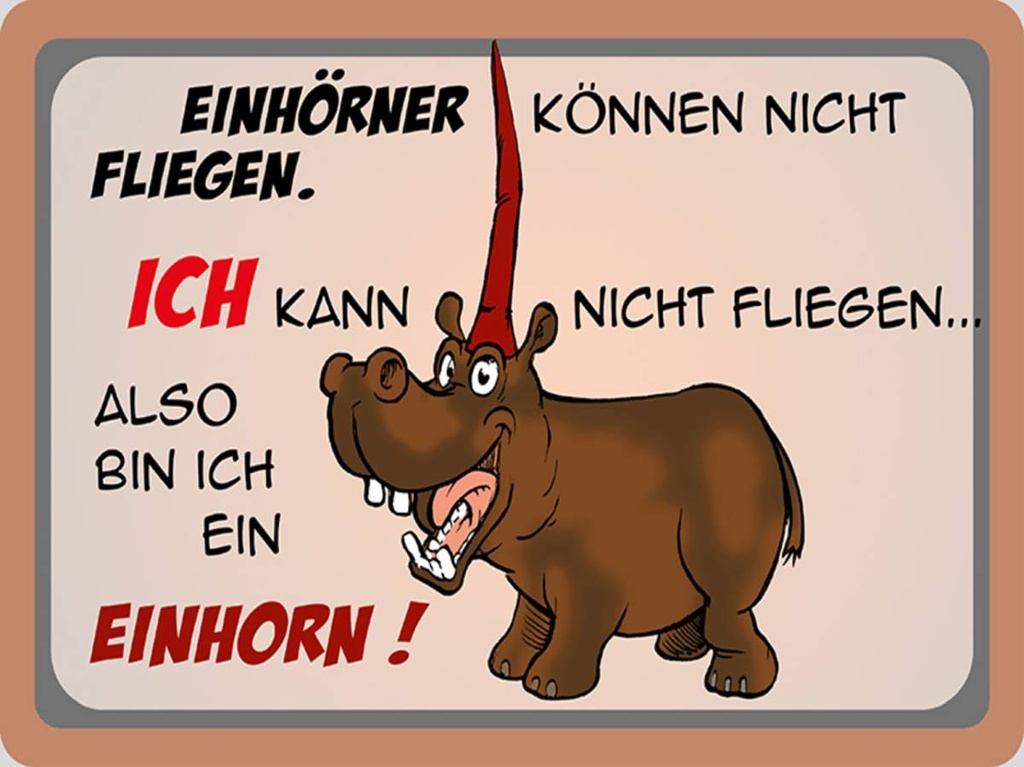 Holzschild 30x40 cm Tiere kann nicht fliegen bin Einhorn