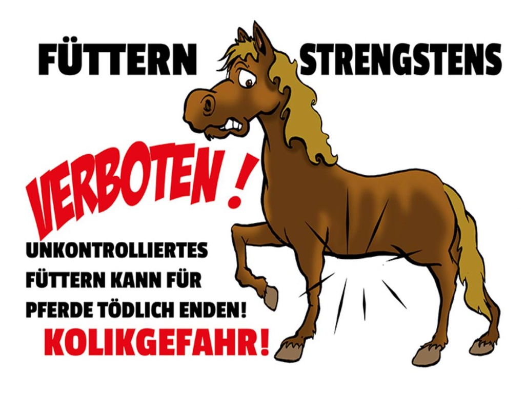 [LA-1789561-H] Holzschild 30x40 cm füttern strengstens verboten