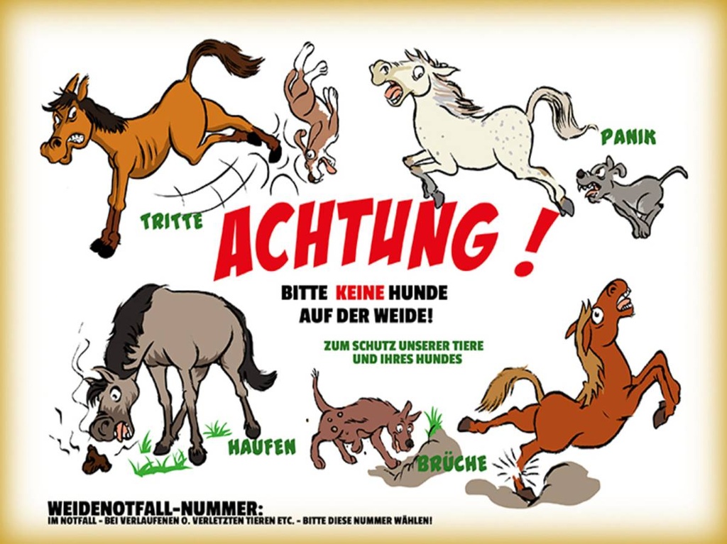 Holzschild 30x40 cm Achtung keine Hunde auf Weide