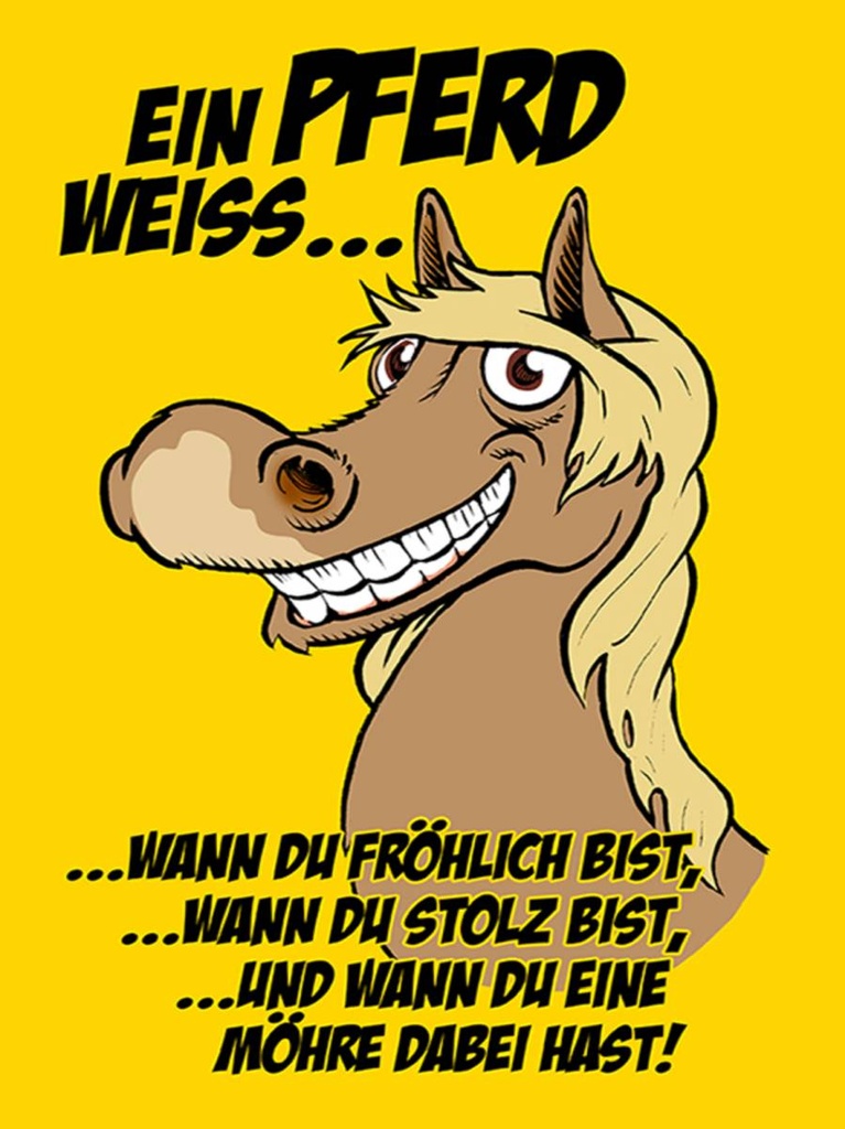 Holzschild 40x30 cm Ein Pferd weiss wann fröhlich