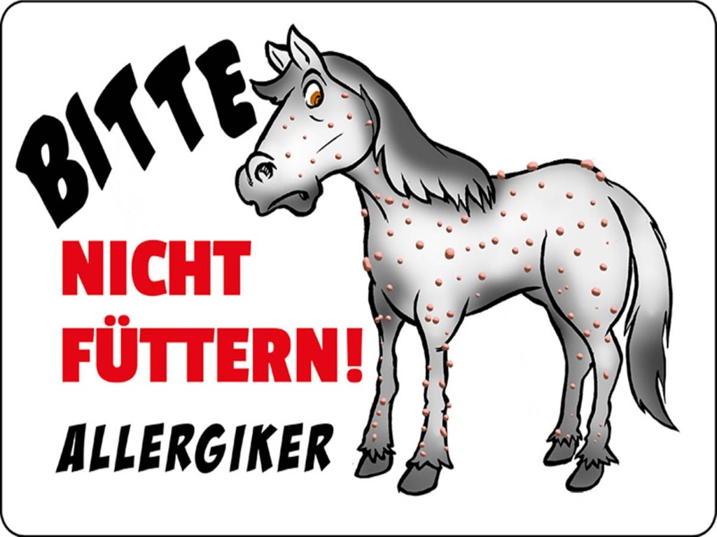 Holzschild 30x40 cm Bitte nicht füttern Pferd