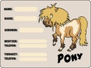 Holzschild 30x40 cm Pony Tiere Name Rasse Besitzer geboren