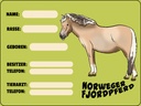 Holzschild 30x40 cm Pferd Norweger Fjordpferd Angaben Name