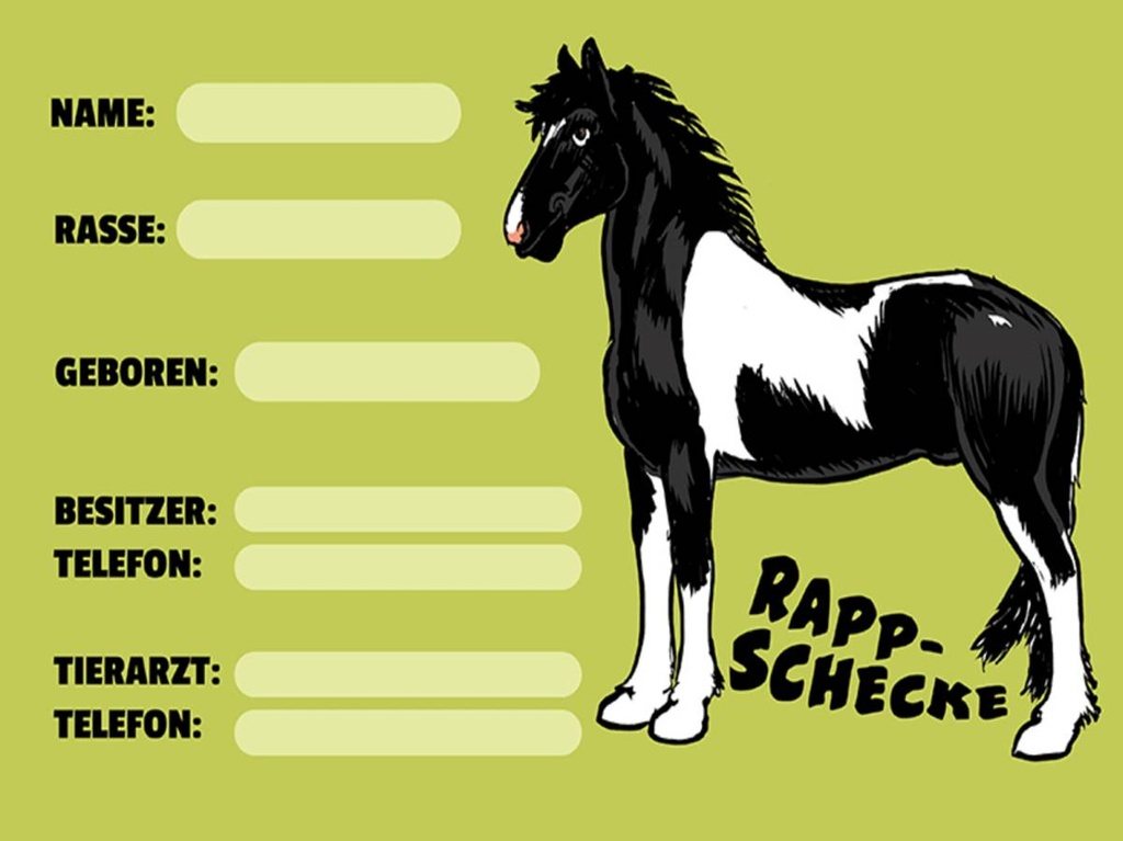 Holzschild 30x40 cm Pferd Rappschecke Name Besitzer Rasse