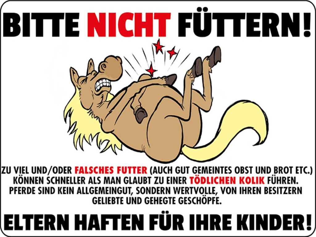 Holzschild 30x40 cm Pferd bitte nicht füttern Eltern haften