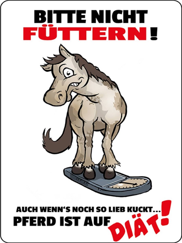 Holzschild 40x30 cm bitte nicht füttern Pferd Diät