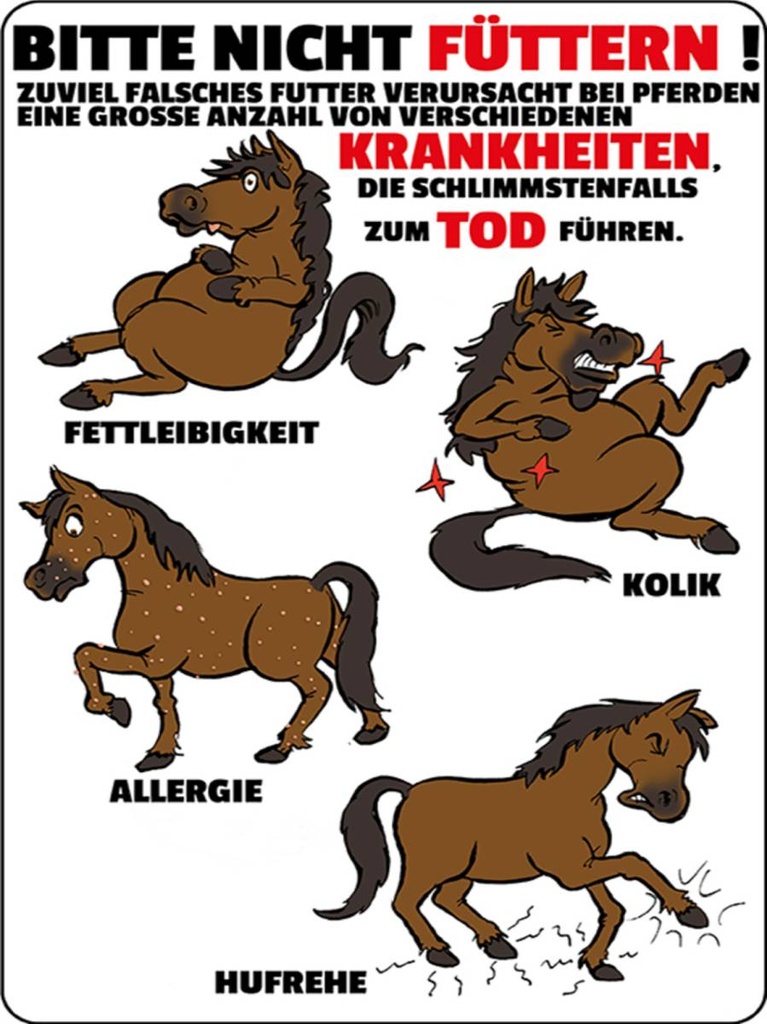 Holzschild 40x30 cm bitte nicht füttern Pferd krank