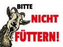 Holzschild 30x40 cm Tiere bitte nicht füttern Ziege