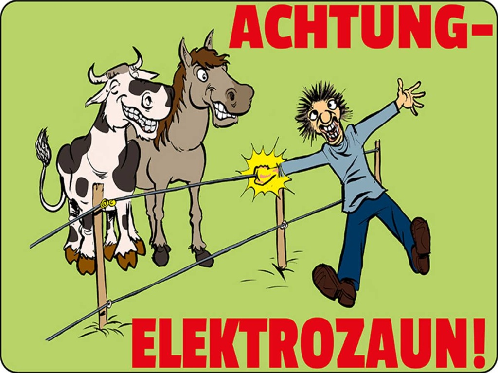 Holzschild 30x40 cm Tiere Achtung Elektrozaun