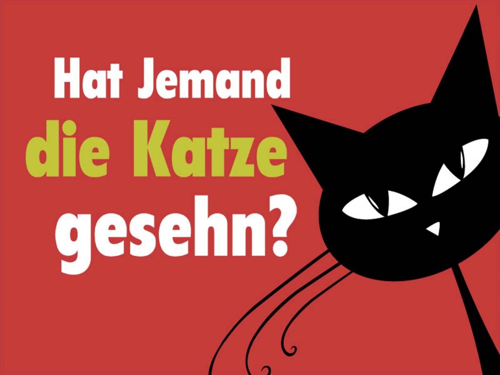 Holzschild 30x40 cm hat jemand Katze gesehn Geschenk