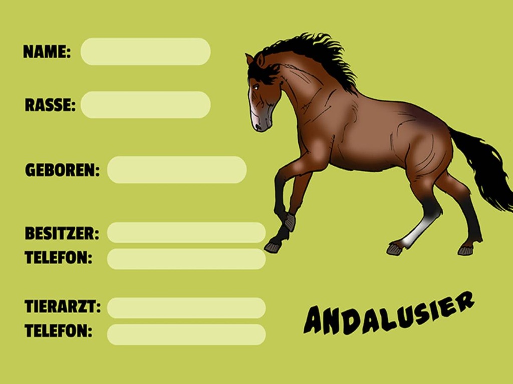Holzschild 30x40 cm Pferd Andalusier Name Besitzer Rasse