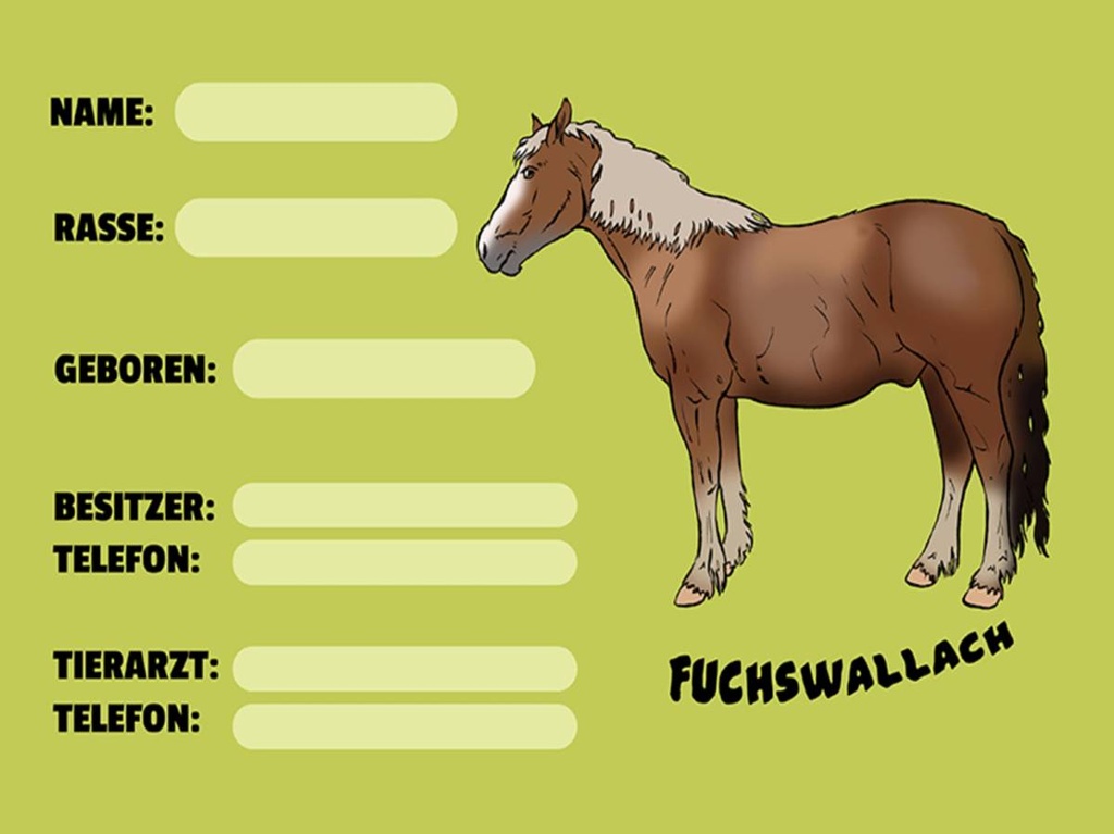 Holzschild 30x40 cm Pferd Fuchswallach Name Besitzer Rasse