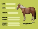 Holzschild 30x40 cm Pferd Fuchswallach Name Besitzer Rasse