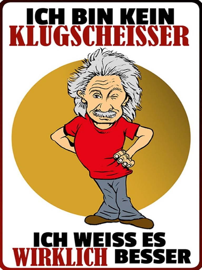 Holzschild 40x30 cm ich bin kein Klugscheisser