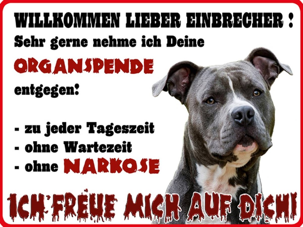 Holzschild 30x40 cm Hund Willkommen Einbrecher