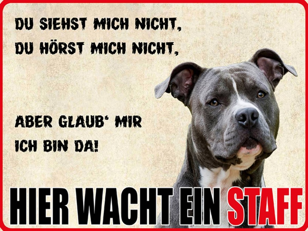 Holzschild 30x40 cm Hund Hier wacht ein Staff