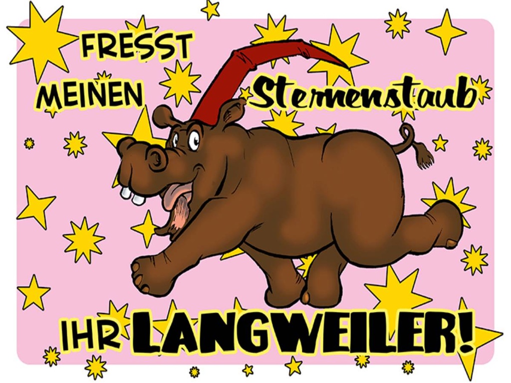 Holzschild 30x40 cm Fresst meinen Sternenstaub