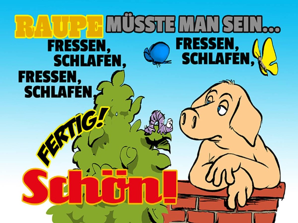 Holzschild 30x40 cm Raupe müsste man sein fressen