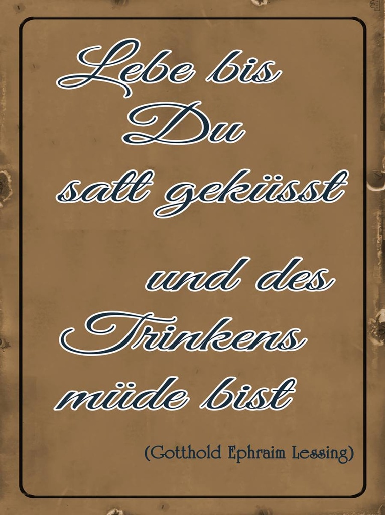 Holzschild 40x30 cm lebe bis Du satt geküsst Trinken