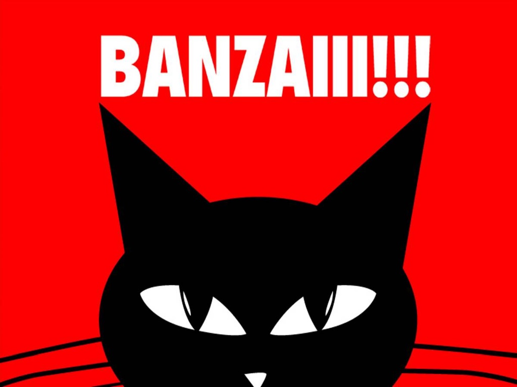 Holzschild 30x40 cm Katze Banzaiii!!!