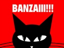 Holzschild 30x40 cm Katze Banzaiii!!!