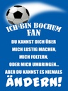 Holzschild 40x30 cm ich bin Bochum Fan Fussball