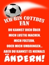 Holzschild 40x30 cm ich bin Cottbus Fan Fussball