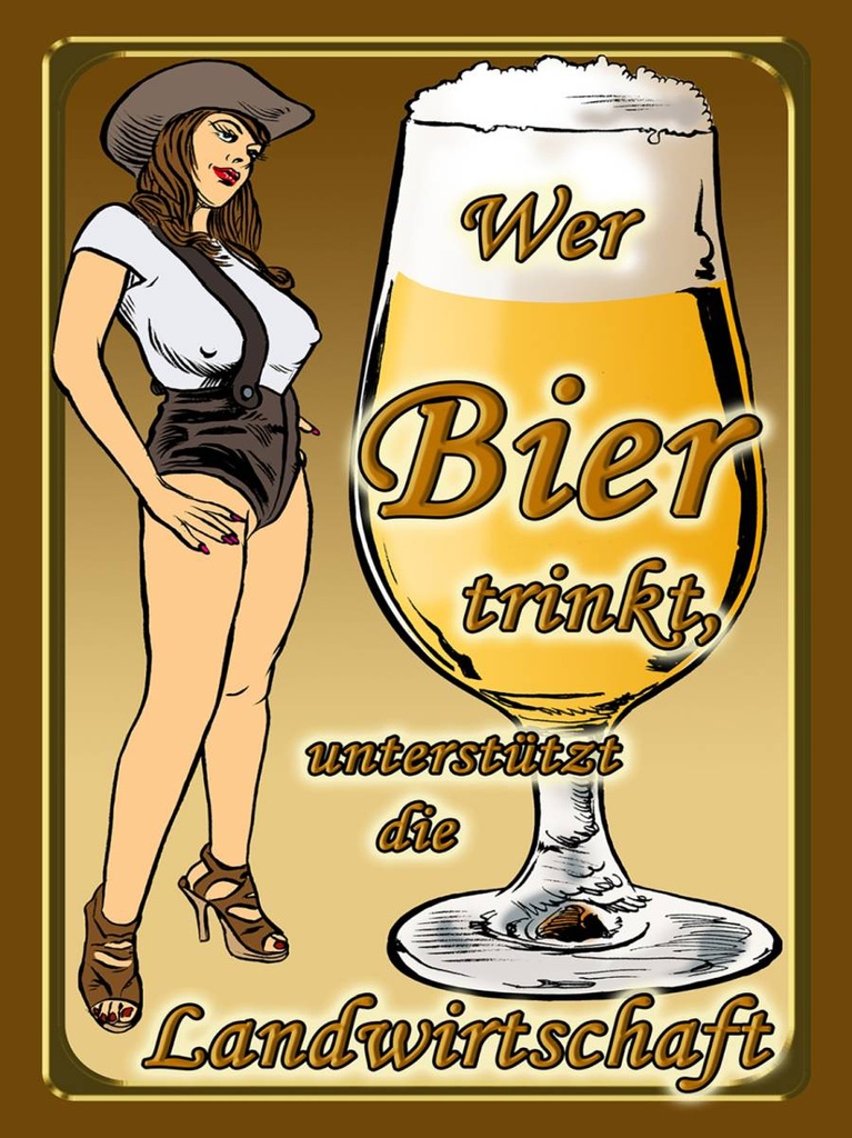 Holzschild 40x30 cm Pinup wer Bier trinkt unterstützt Land