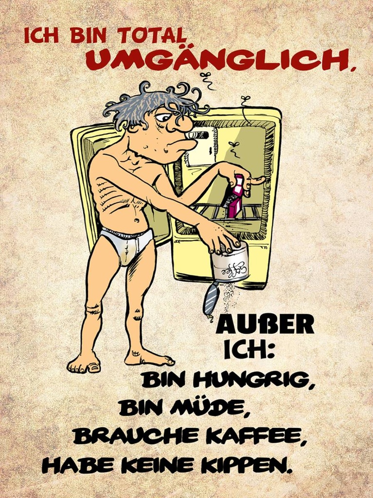 Holzschild 40x30 cm bin total umgänglich außer