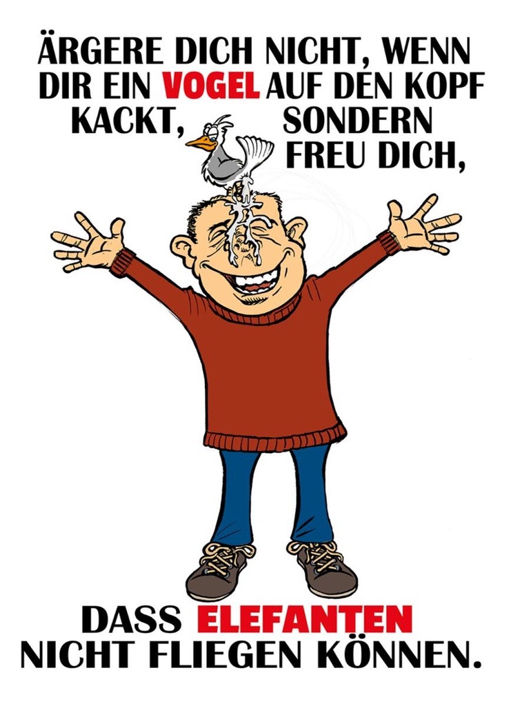 Holzschild 40x30 cm ärgere dich nicht wenn ein Vogel