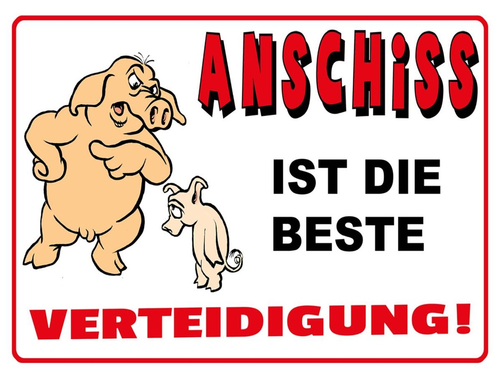 Holzschild 30x40 cm Anschiss ist beste Verteidigung