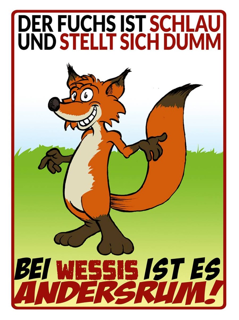 Holzschild 40x30 cm der Fuchs ist schlau