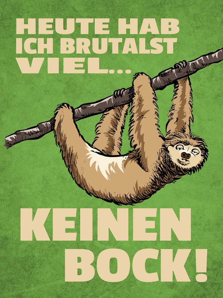 Holzschild 40x30 cm heute habe ich brutalst viel
