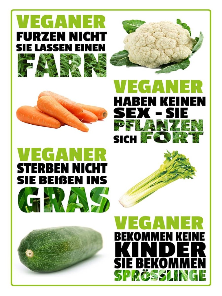 Holzschild 40x30 cm Veganer furzen nicht sterben