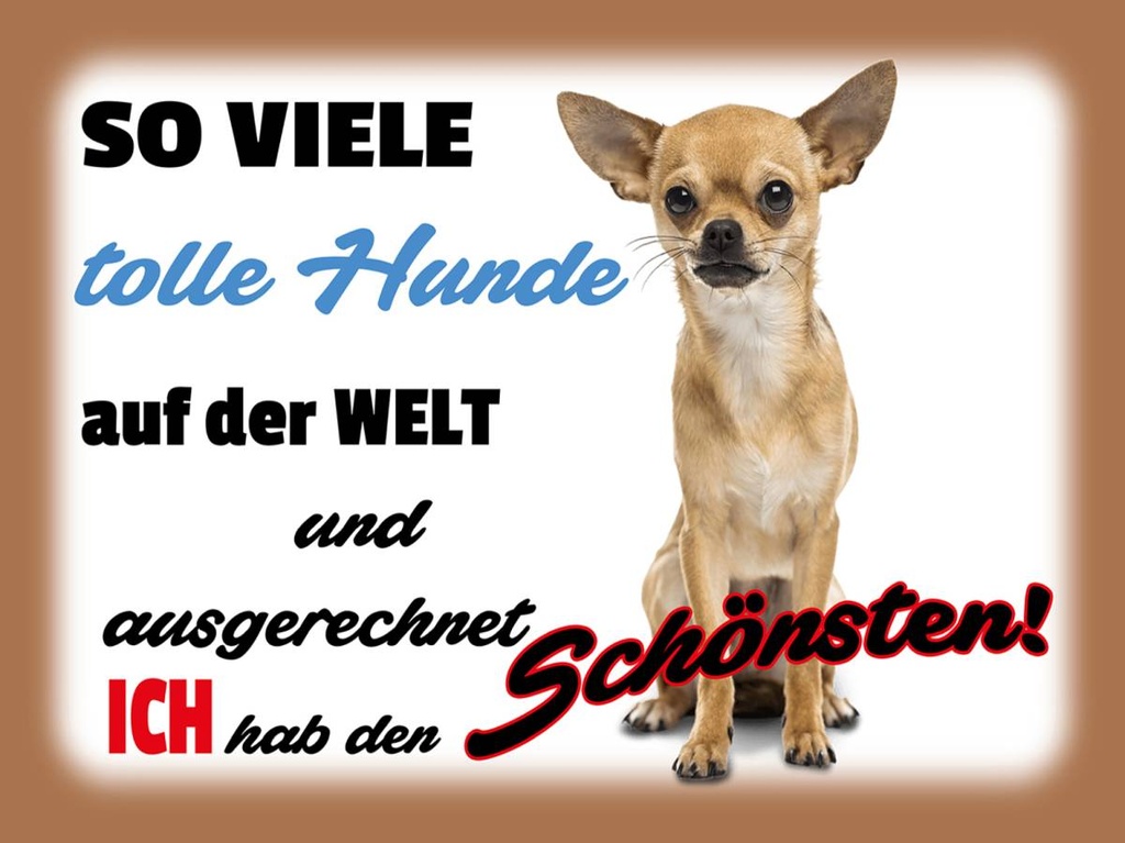 Holzschild 30x40 cm ich hab den schönsten Hund
