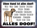 Holzschild 30x40 cm ohne Hund ist alles doof