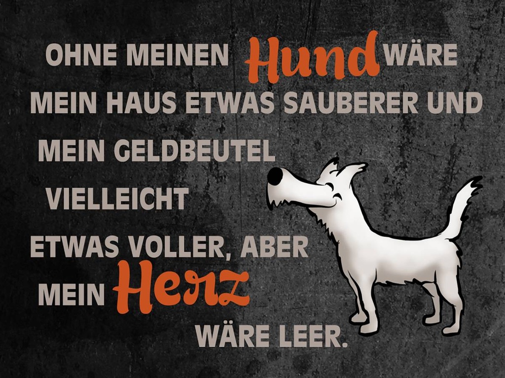 Holzschild 30x40 cm ohne meinen Hund wäre mein Herz
