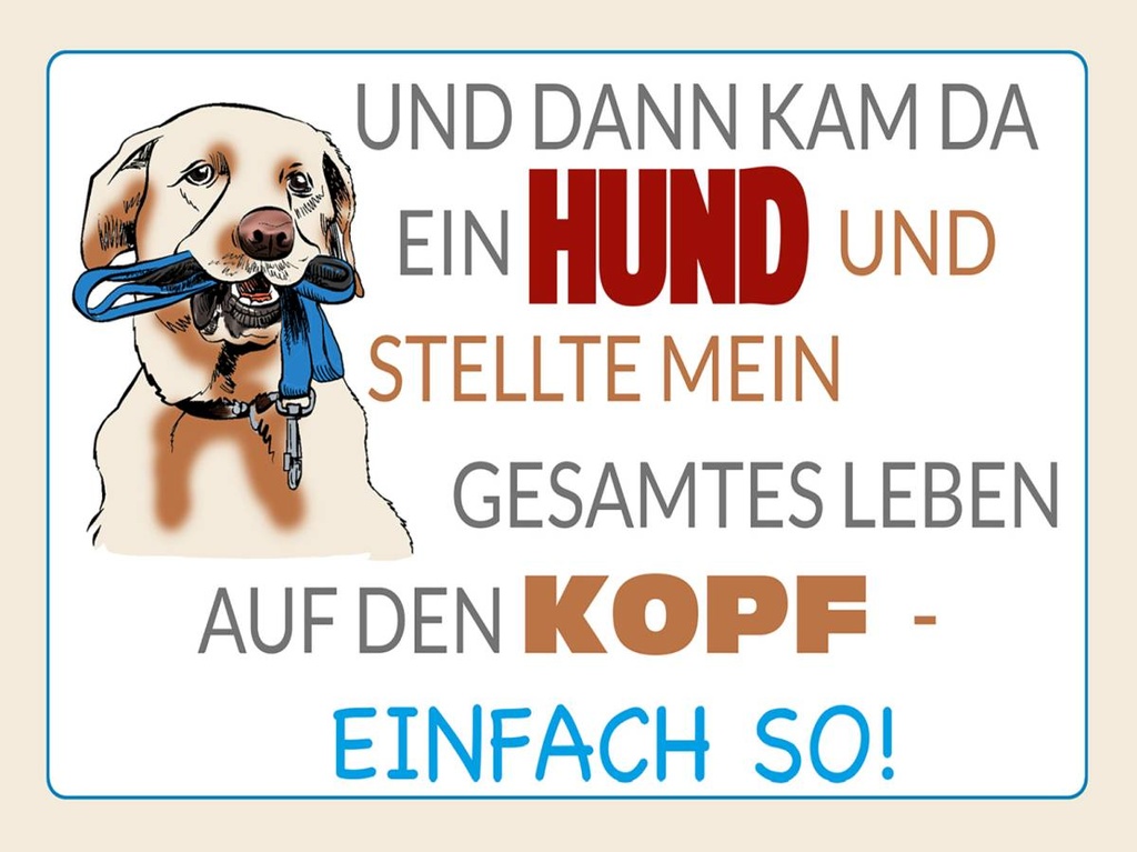 Holzschild 30x40 cm und dann kam da ein Hund