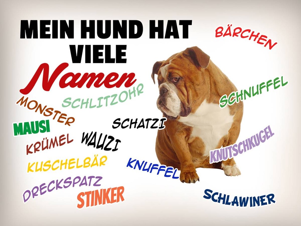 Holzschild 30x40 cm mein Hund hat viele Namen