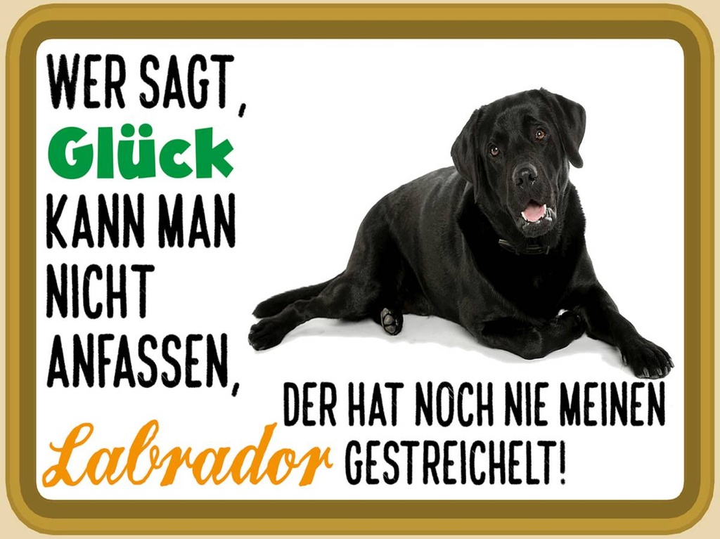 Holzschild 30x40 cm Glück nicht anfassen Labrador