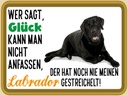 Holzschild 30x40 cm Glück nicht anfassen Labrador