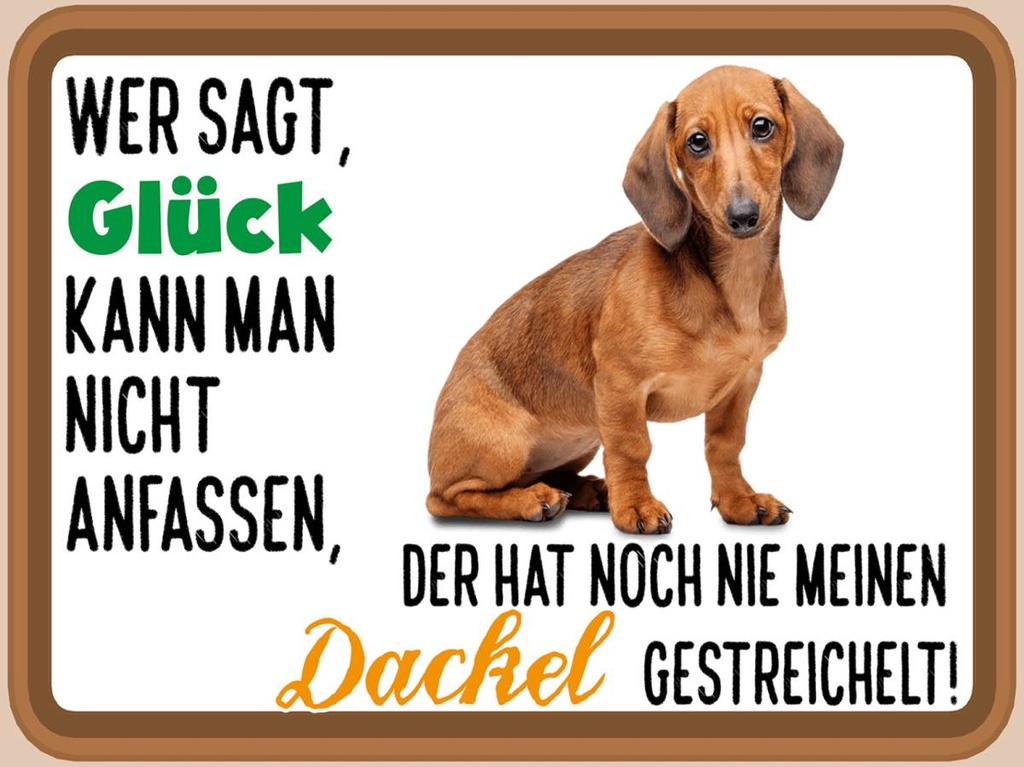 Holzschild 30x40 cm wer sagt Glück Dackel Hund