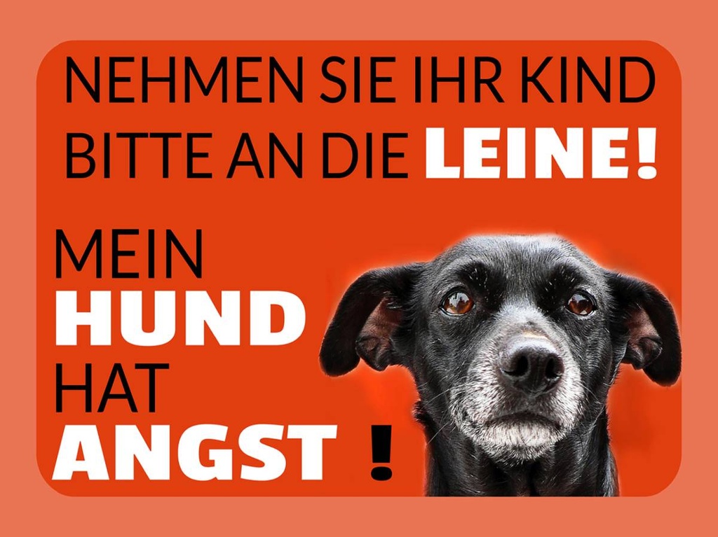 Holzschild 30x40 cm Kind an die Leine Hund hat Angst