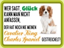 Holzschild 30x40 cm Cavalier King Charles Spaniel
