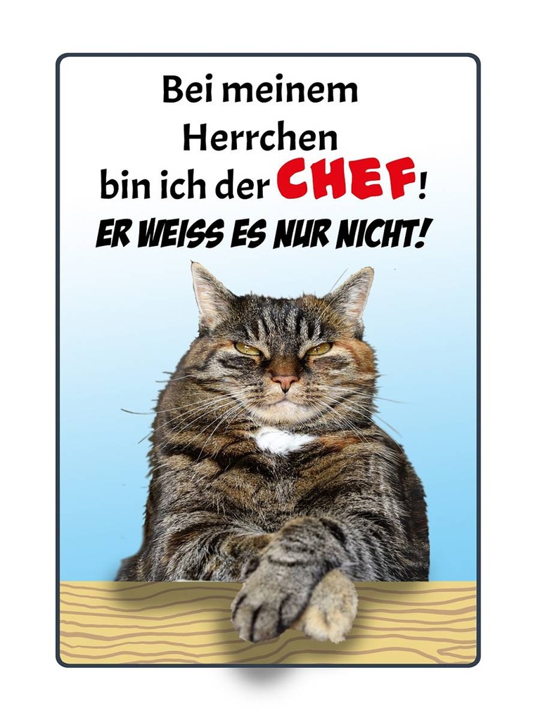Holzschild 40x30 cm Katze bei meinem Herrchen Chef