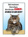 Holzschild 40x30 cm Katze bei meinem Herrchen Chef